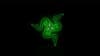 Razer Gold Indonesia