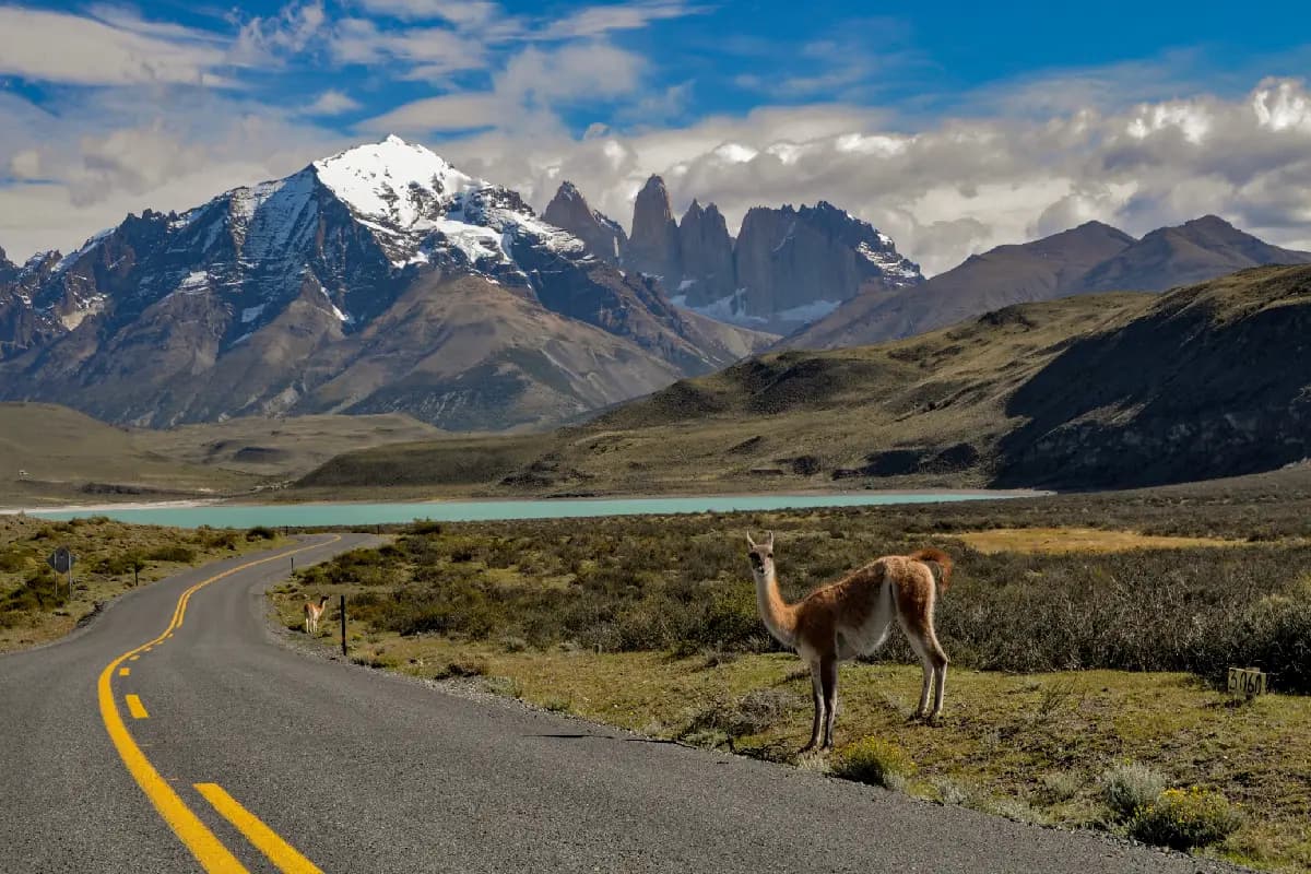 Gift cards for Chile